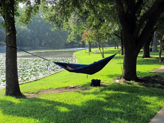 Hammock in the park