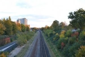 Bomen langs spoor