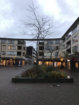 Plantenbak globeplein