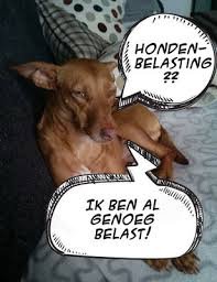 Hond