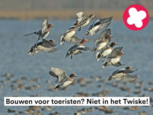 Petitie vakantiewoningen natura 2000 natuurgebied twiske 2019