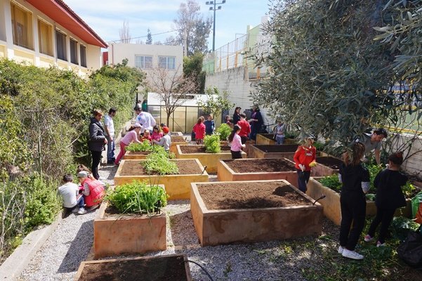 Schoolgarden