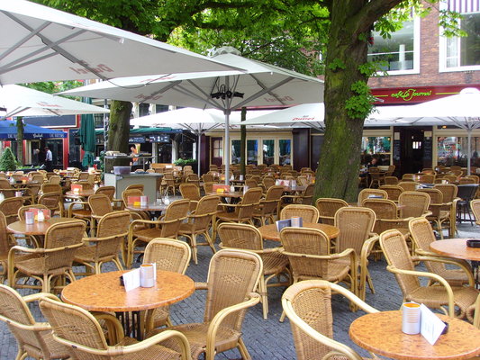 Terras neude