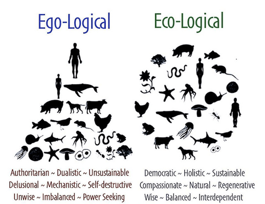 Ecological0 %281%29