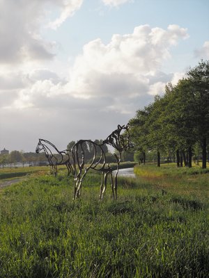 Bomen en paardjes n206