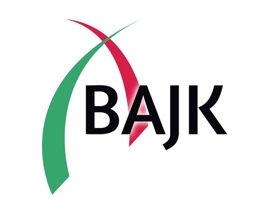 Bajk logo afgekort scherper 4 3