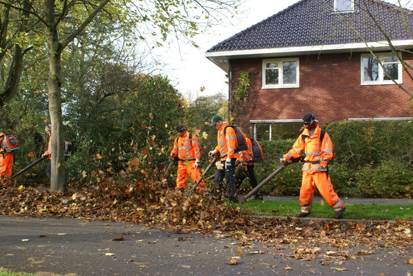 Verbod op bladblazers groot