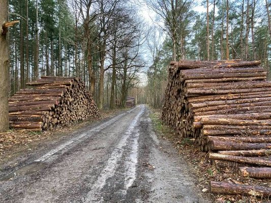 Boskap hollandsche rading