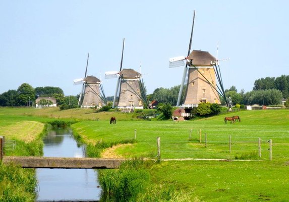 Polder