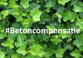 Betoncompensatie