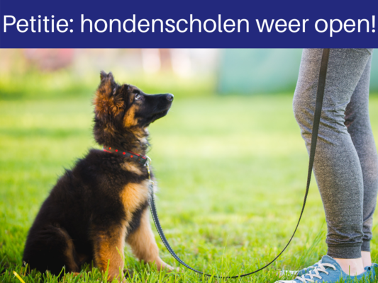 Petitie  hondenscholen weer open!