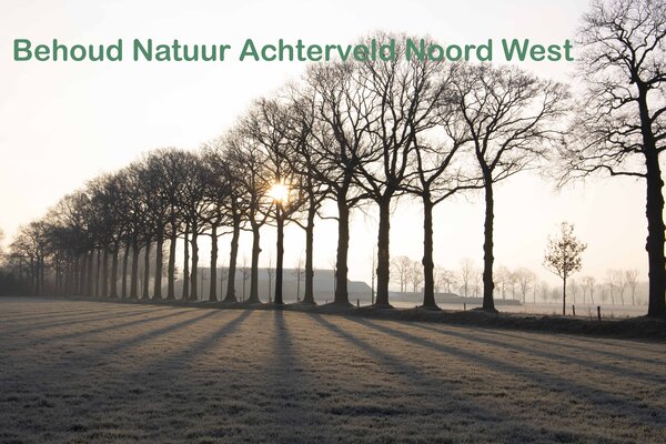 Behoud natuur achterveld 6 %283%29