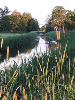 Foto doezumertocht