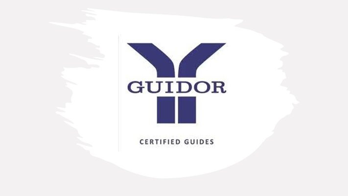 Logo guidor