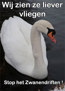 Wijzienzelievervliegen2