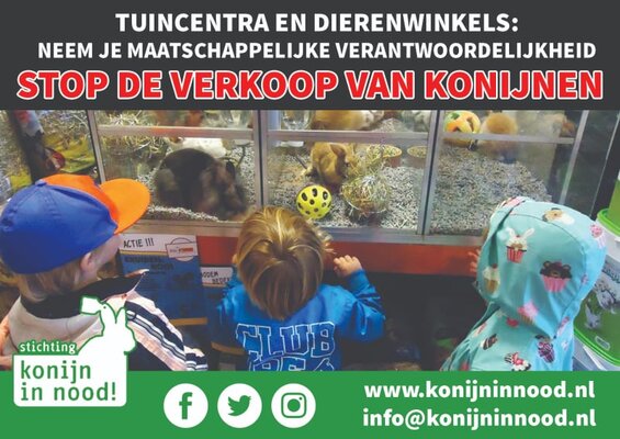 Kinderen