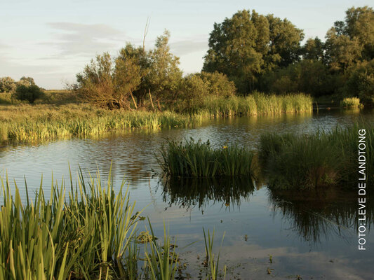 Petitie landtong foto leve de landtong