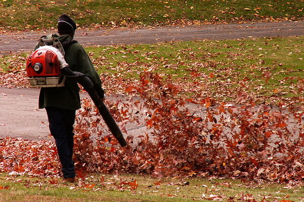 Leaf blower  homewood cemetery