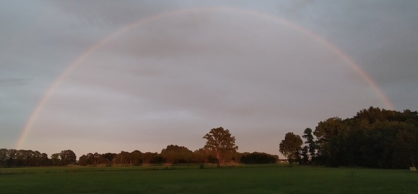 Venrays broek regenboog2