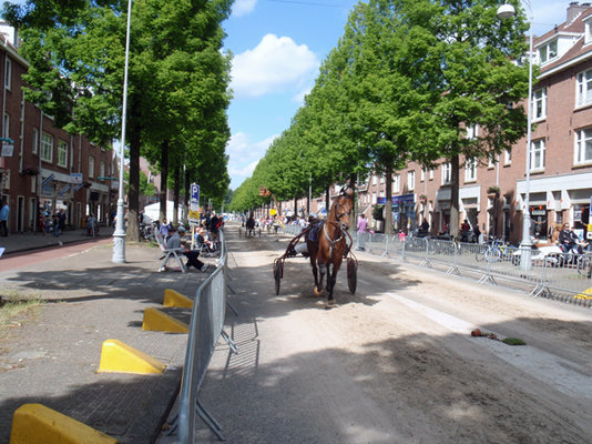 Vdpekstraat bomen