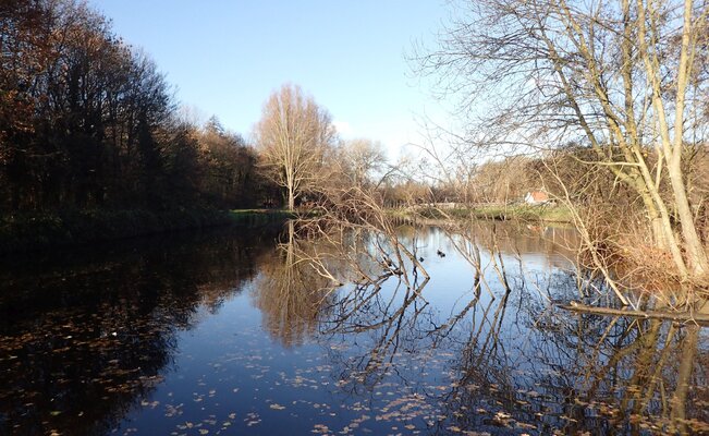 Polderpark cronesteyn   anne marie van dam