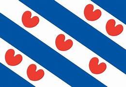 Friese vlag