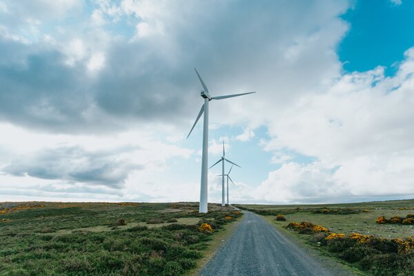 Country road with tall windmills on the left