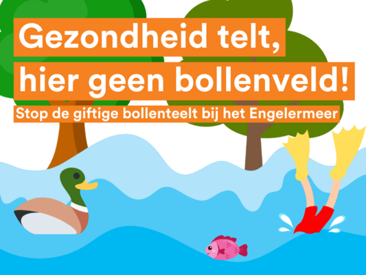 Hier geen bollenveld!