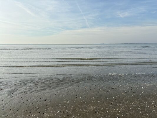 Westerschelde 2