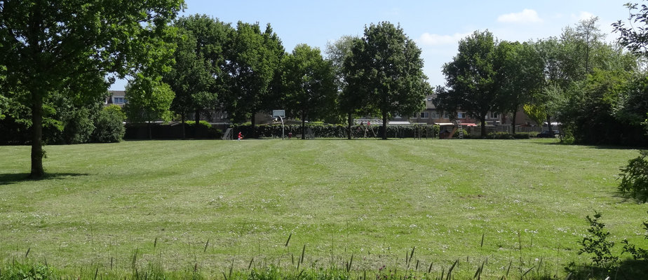 Grasveld anemoonstraat 2015 jun f 1 