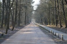 Zandweg roovert %28klein formaat%29