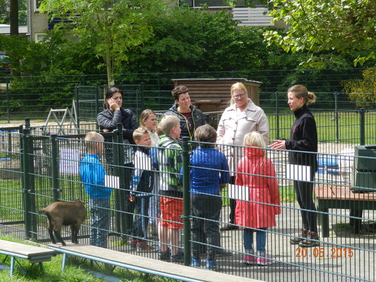 Kinderboerderij 2 085