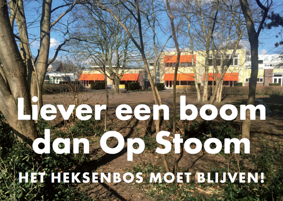 Liever een boom dan op stoom