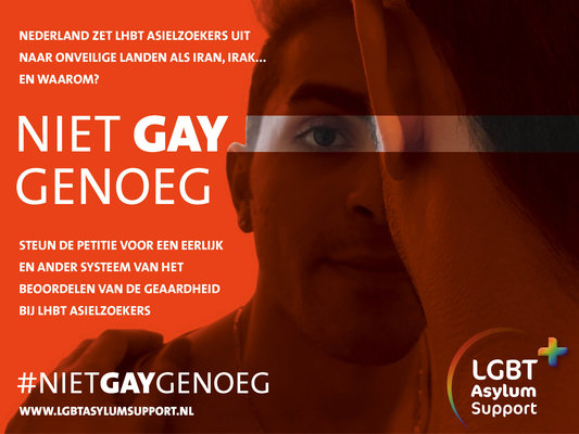 Niet gay genoeg def