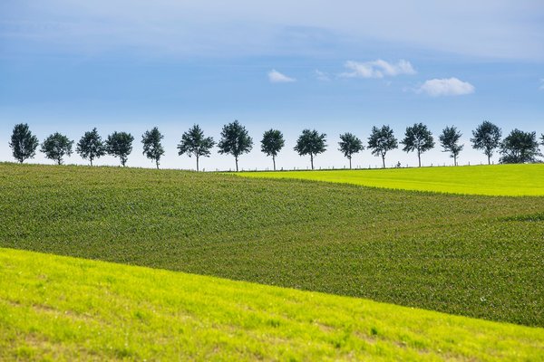 Landschap