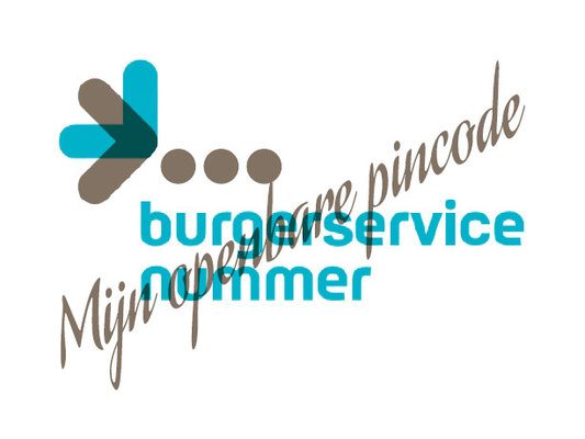 Burgerservicenummer