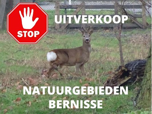 Natuur nissewaardkopie