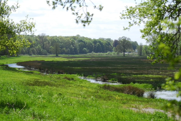 Beekdal renkum